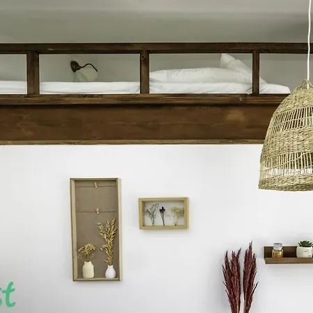Apartament Petit Blottereau Avec Jardin Nantes